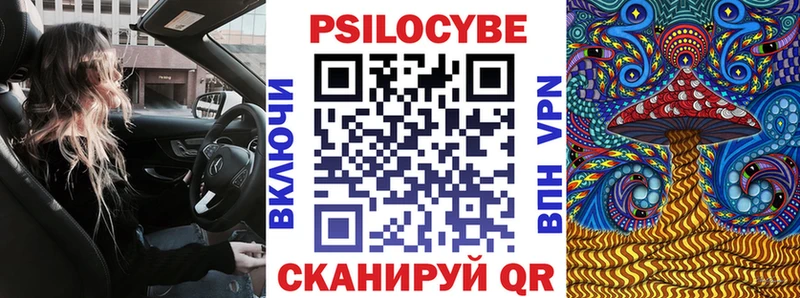Галлюциногенные грибы Cubensis  Купить где  Верхняя Пышма 